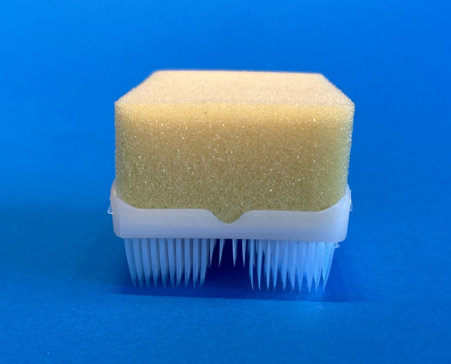 Surgical-style scrub brush for hands and nails, molded brush with foam attached, end view 2