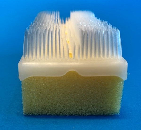 Surgical-style scrub brush for hands and nails, molded brush with foam attached, end view
